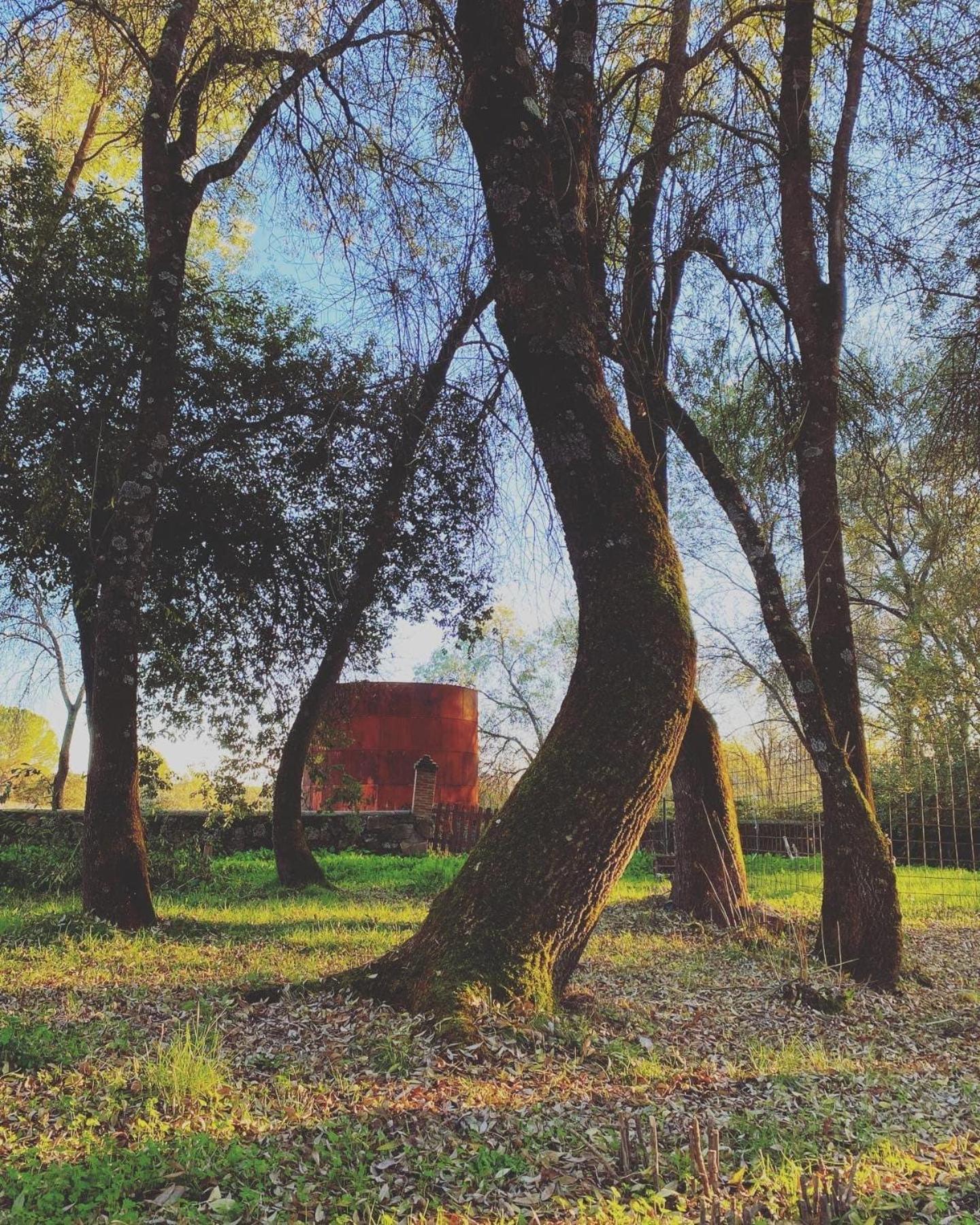 La Resinera Alloggio in famiglia La Adrada